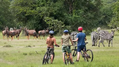 12 Days Road Chaser Tour Uganda